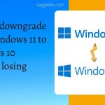 How to downgrade from windows 11 to windows 10 without losing data? [within 30 minutes]
