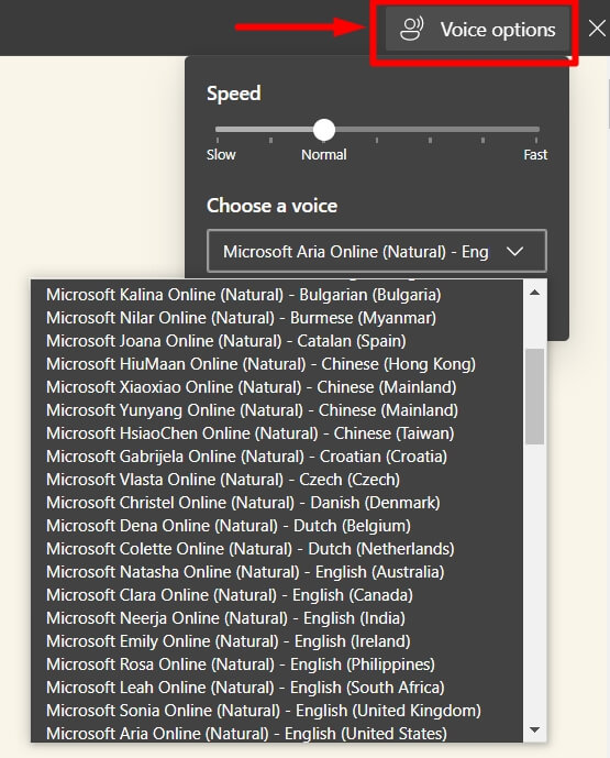 click on voice options to change voice speed and accent