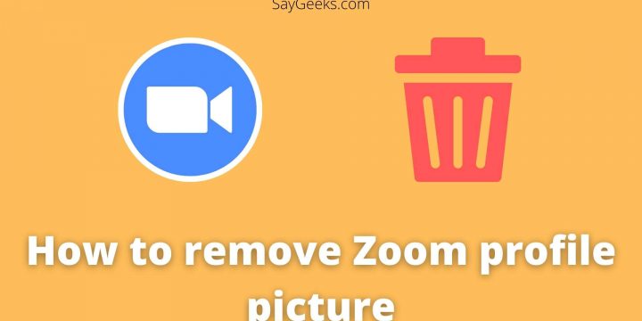 How to remove Zoom profile picture?