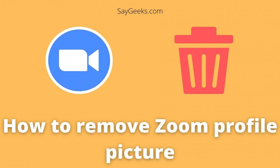 How to remove Zoom profile picture