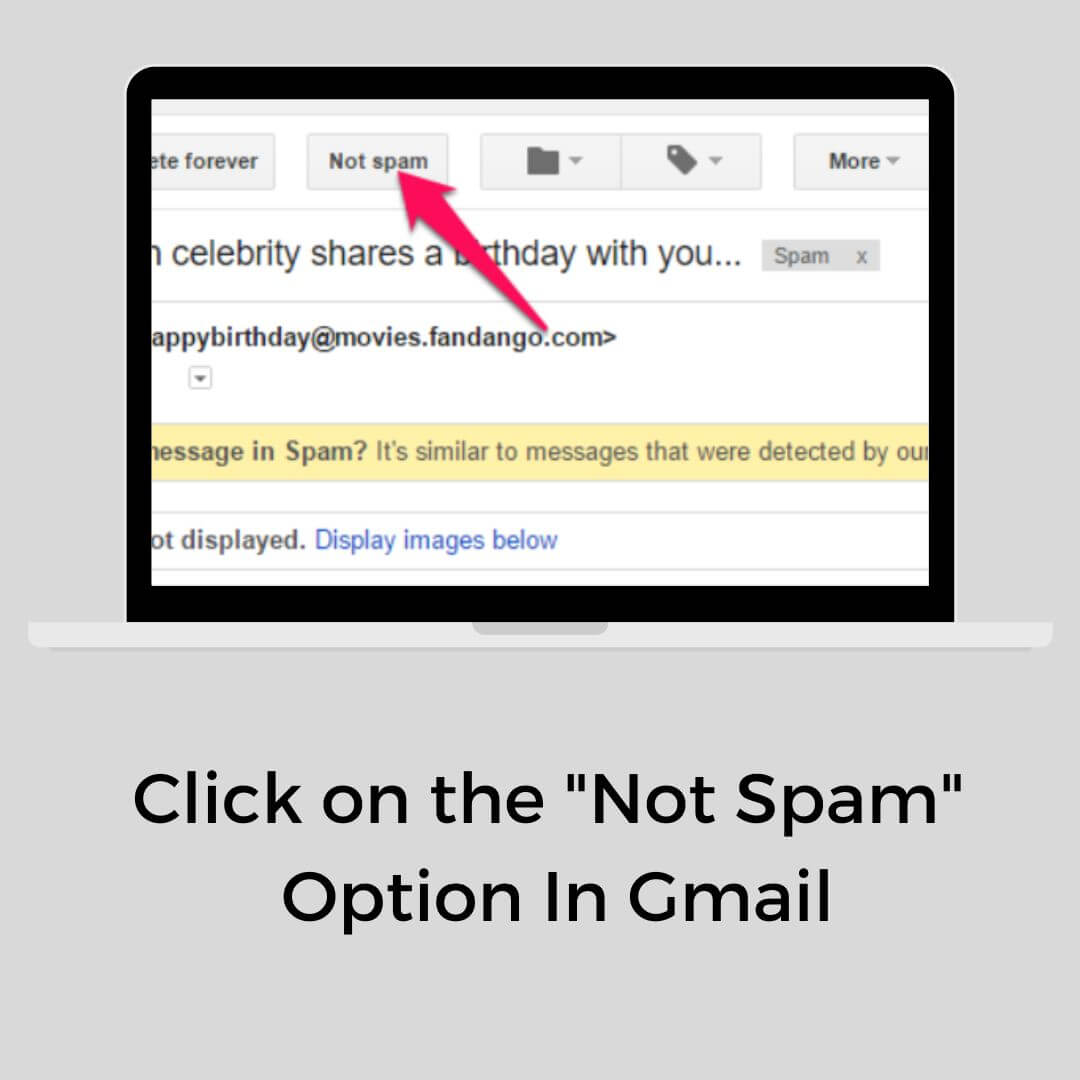 mark not spam in gmail